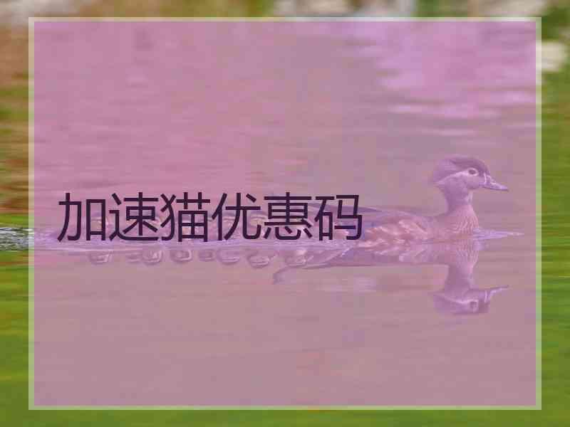 加速猫优惠码