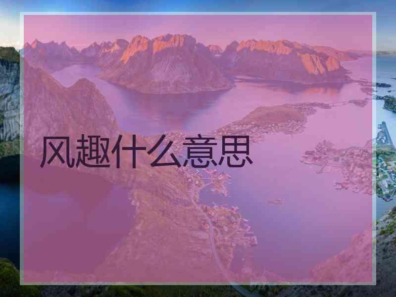 风趣什么意思