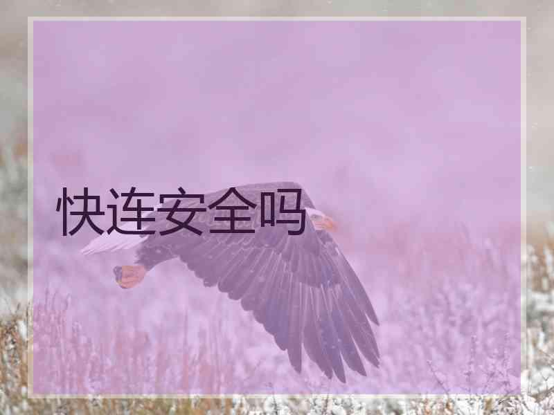 快连安全吗