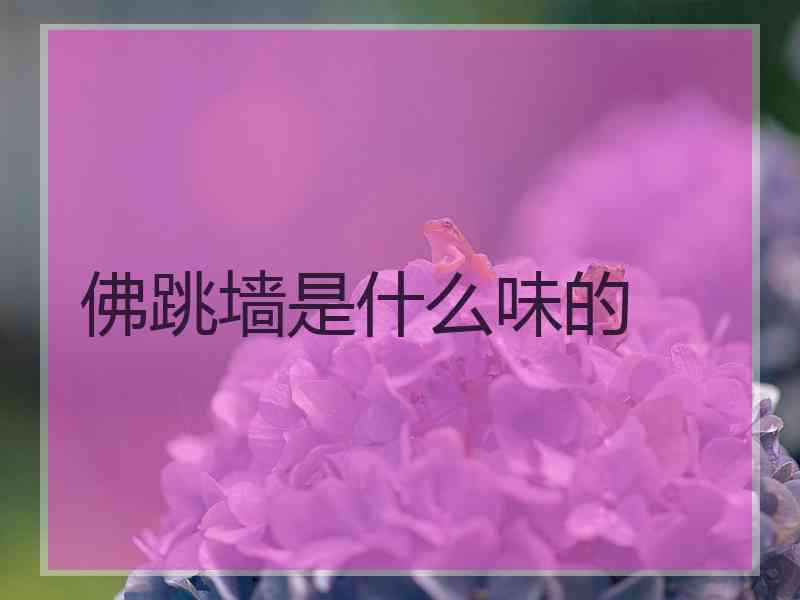 佛跳墙是什么味的