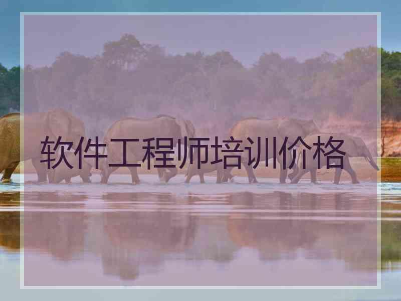 软件工程师培训价格