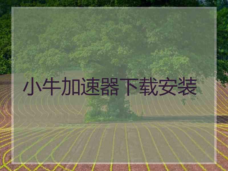 小牛加速器下载安装