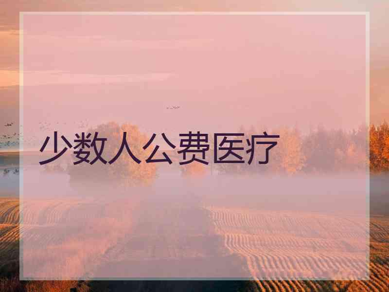 少数人公费医疗