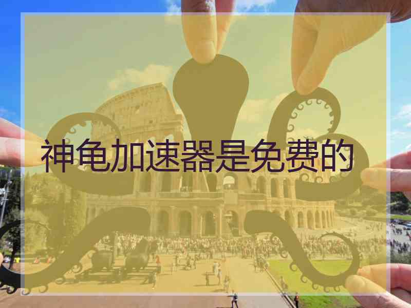 神龟加速器是免费的