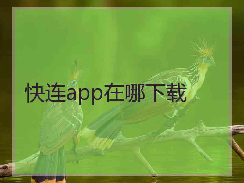 快连app在哪下载