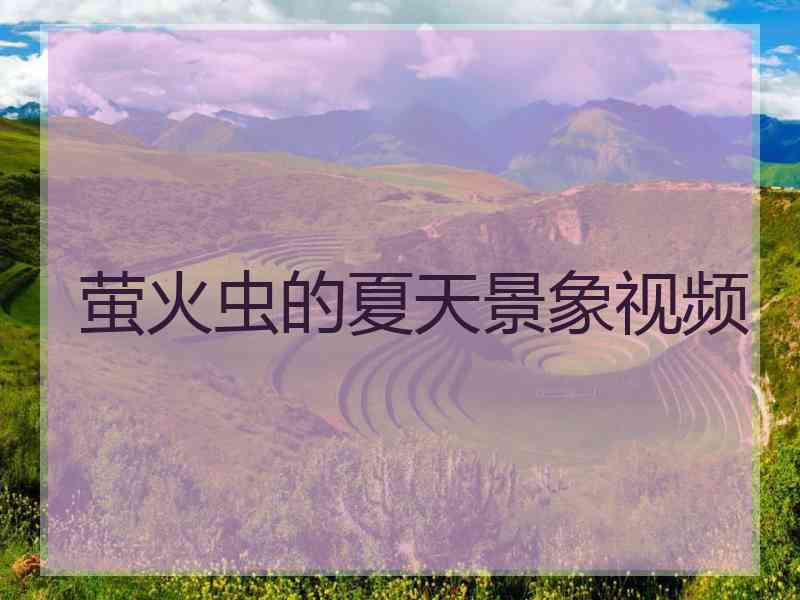 萤火虫的夏天景象视频