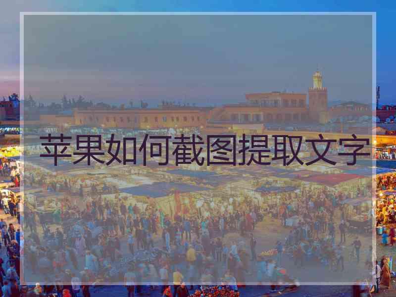 苹果如何截图提取文字