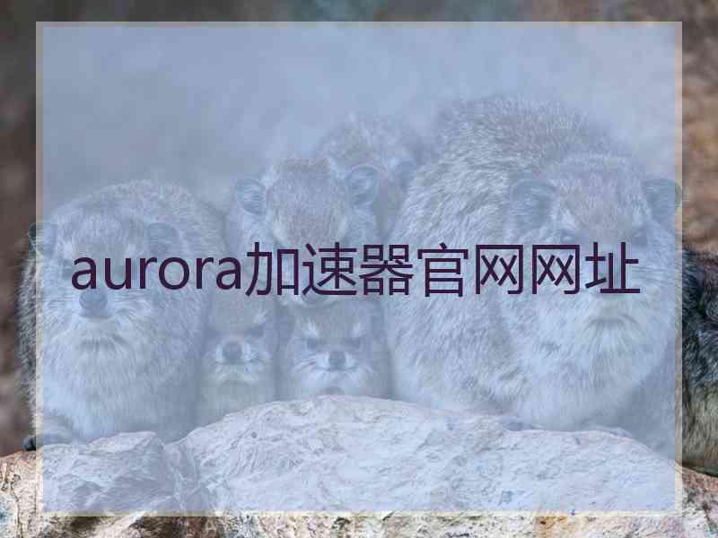 aurora加速器官网网址