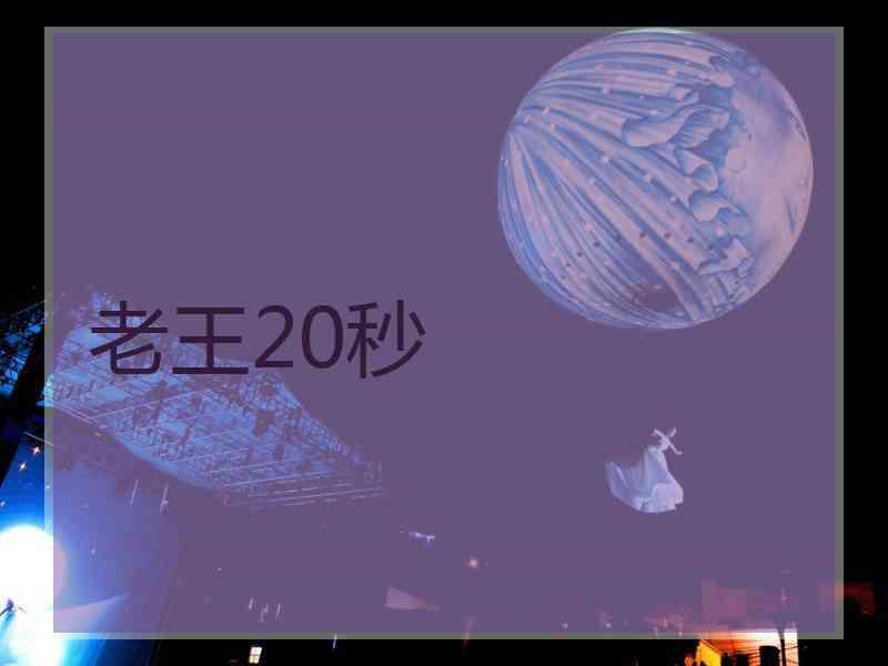 老王20秒