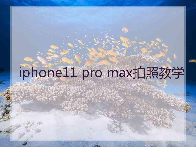 iphone11 pro max拍照教学