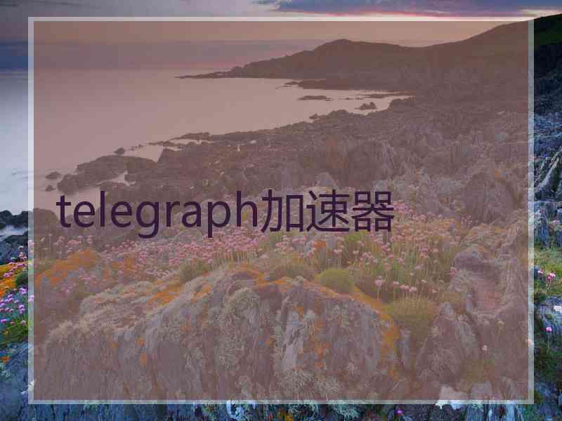 telegraph加速器