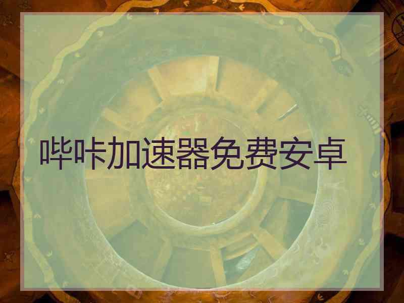 哔咔加速器免费安卓