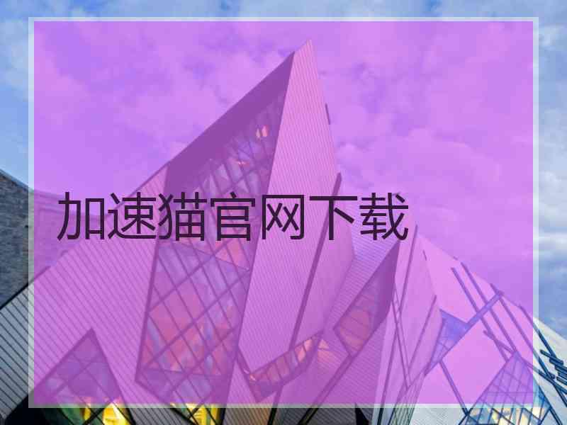 加速猫官网下载