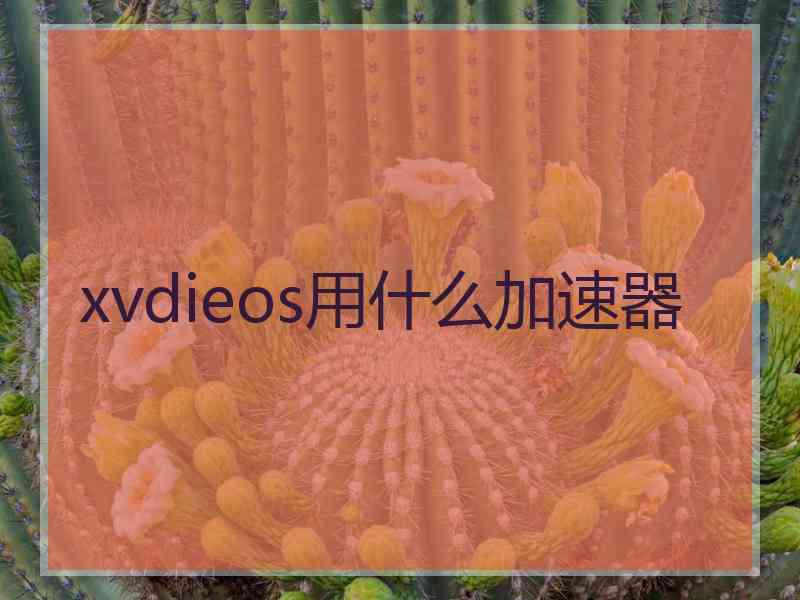 xvdieos用什么加速器