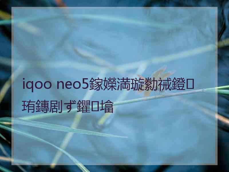 iqoo neo5鎵嬫満璇勬祴鐙珛鏄剧ず鑺墖
