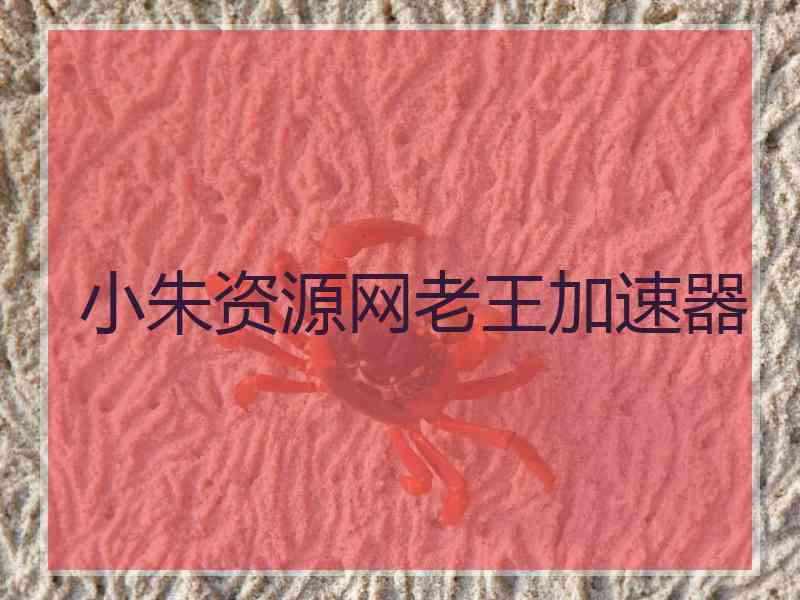 小朱资源网老王加速器