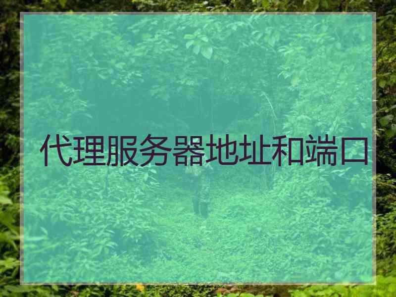 代理服务器地址和端口