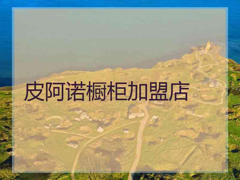 皮阿诺橱柜加盟店
