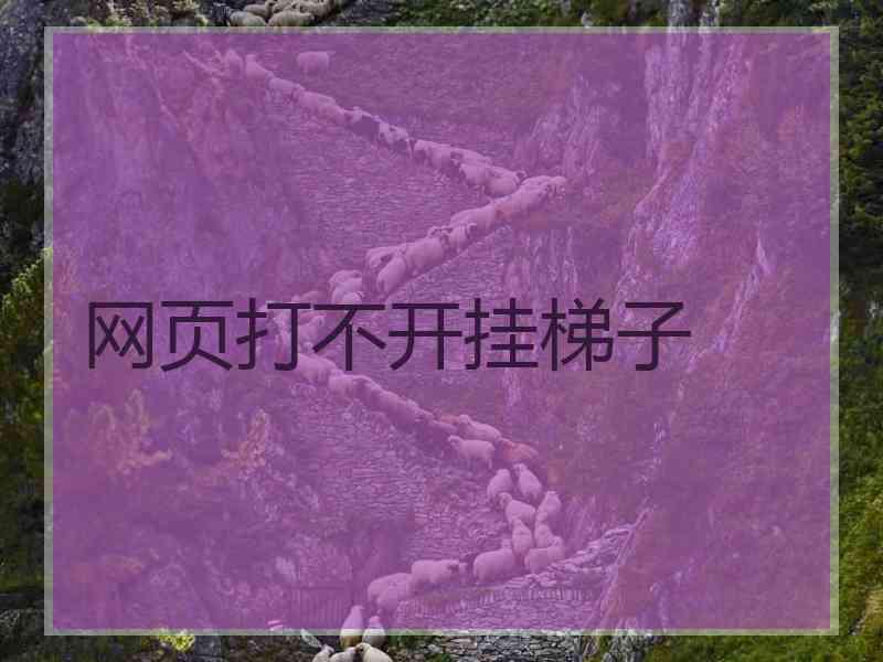 网页打不开挂梯子