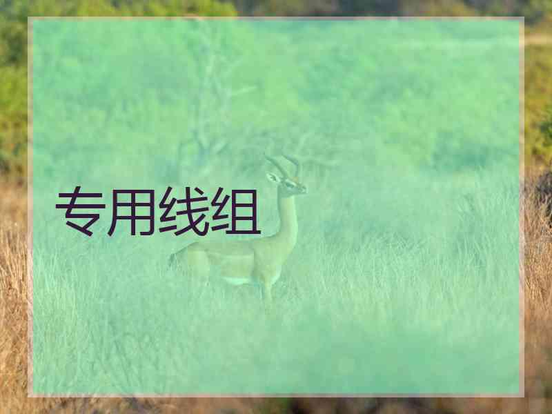 专用线组
