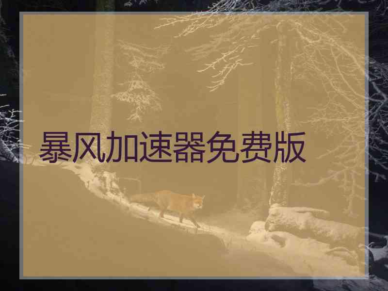 暴风加速器免费版
