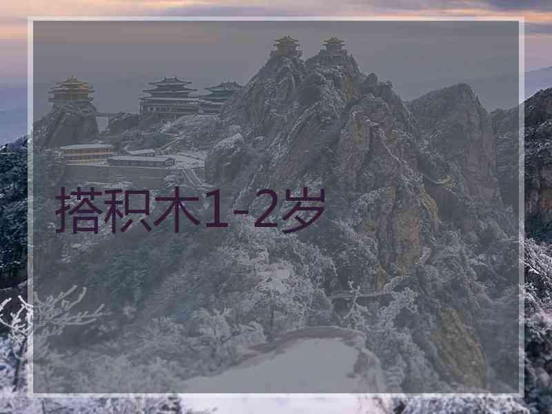 搭积木1-2岁
