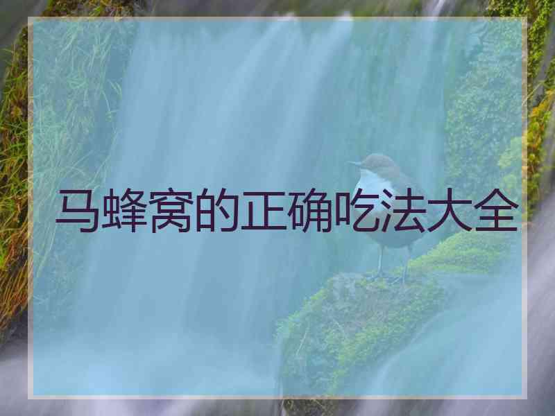 马蜂窝的正确吃法大全