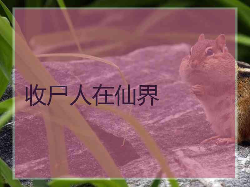 收尸人在仙界