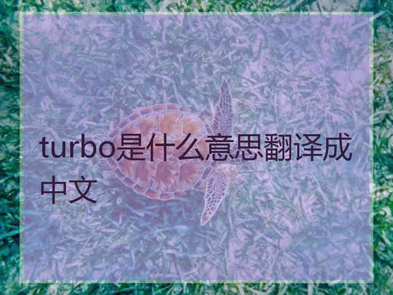 turbo是什么意思翻译成中文
