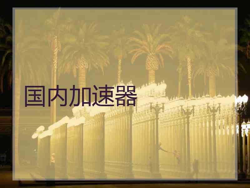 国内加速器