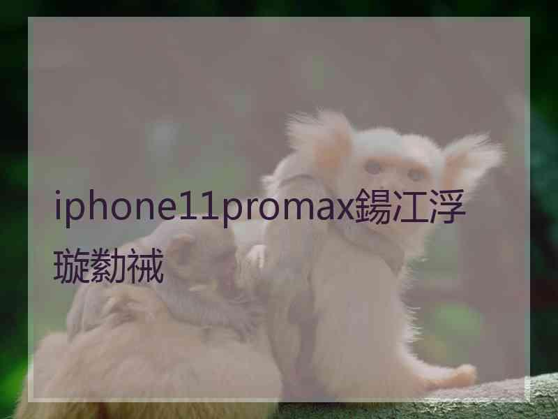 iphone11promax鍚冮浮璇勬祴