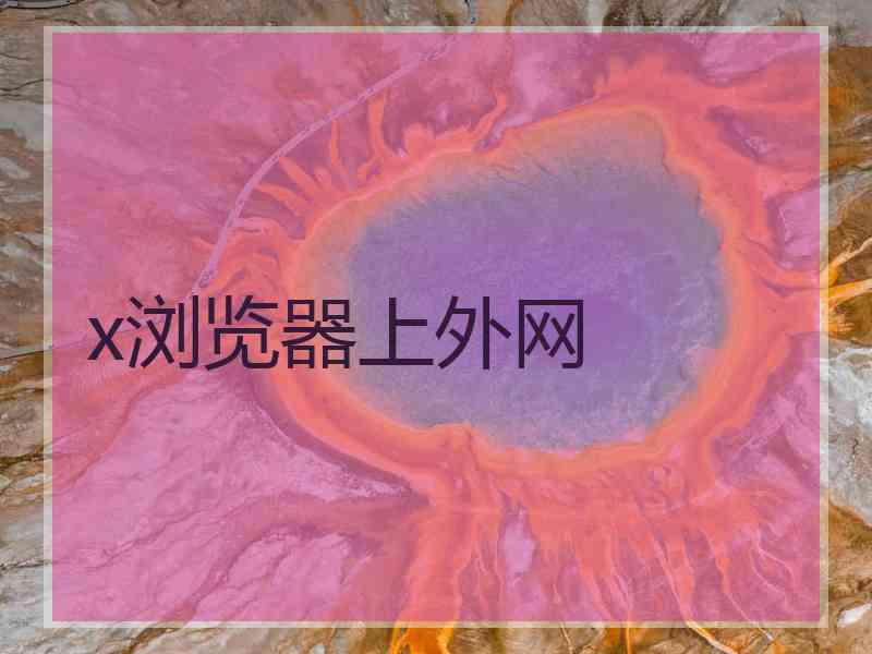 x浏览器上外网