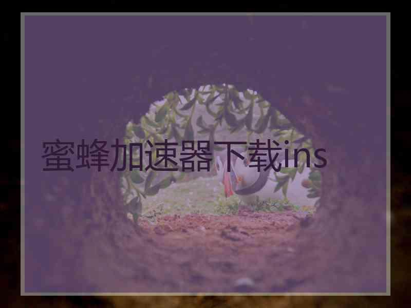 蜜蜂加速器下载ins