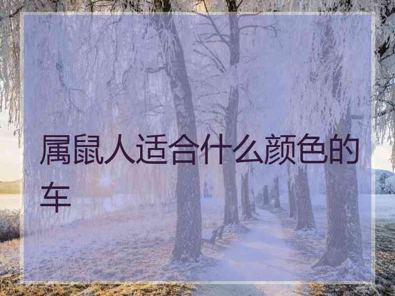 属鼠人适合什么颜色的车