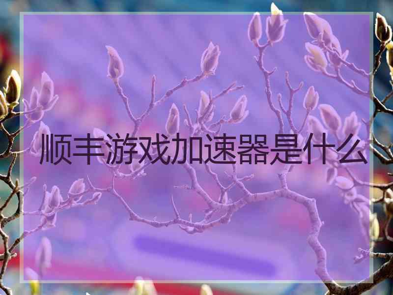 顺丰游戏加速器是什么