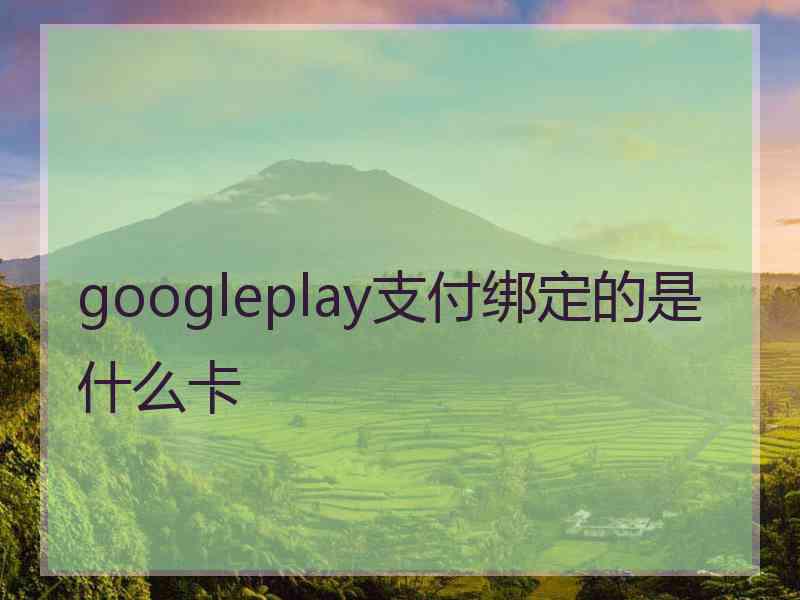 googleplay支付绑定的是什么卡