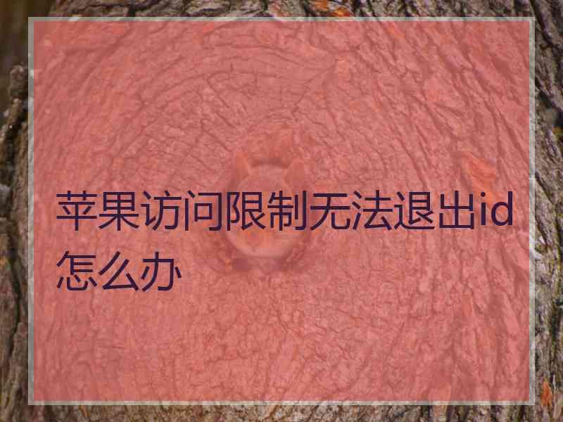 苹果访问限制无法退出id怎么办