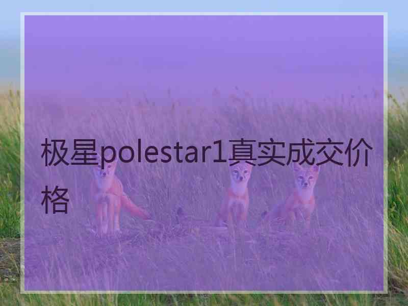 极星polestar1真实成交价格