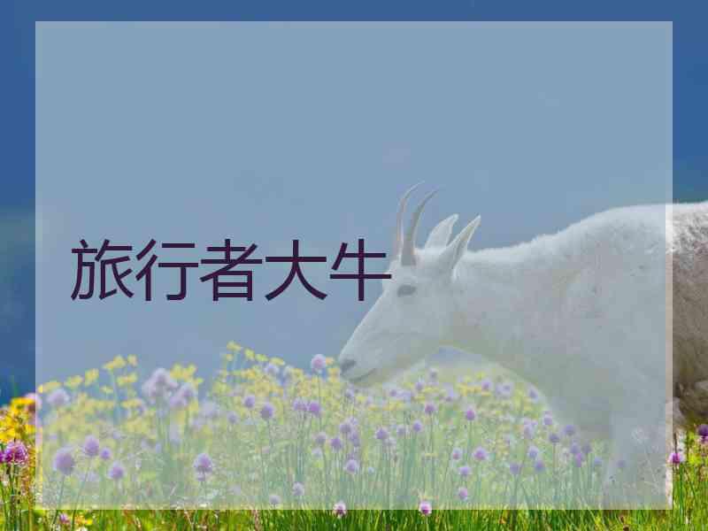 旅行者大牛