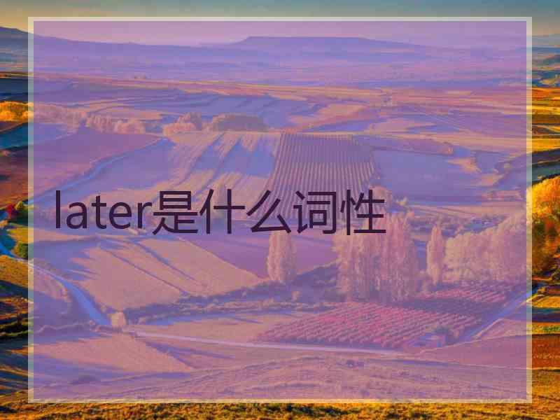 later是什么词性