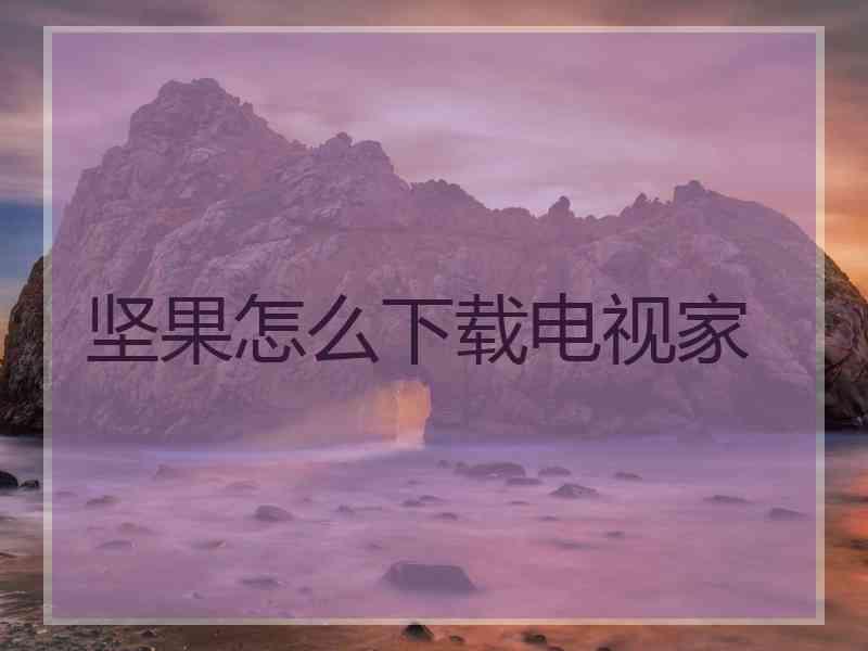 坚果怎么下载电视家