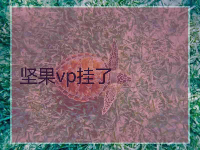 坚果vp挂了