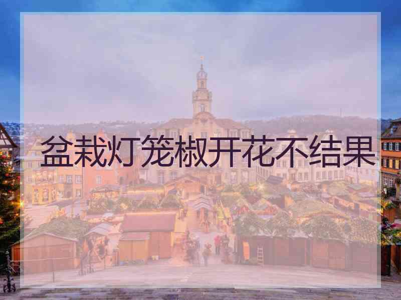 盆栽灯笼椒开花不结果