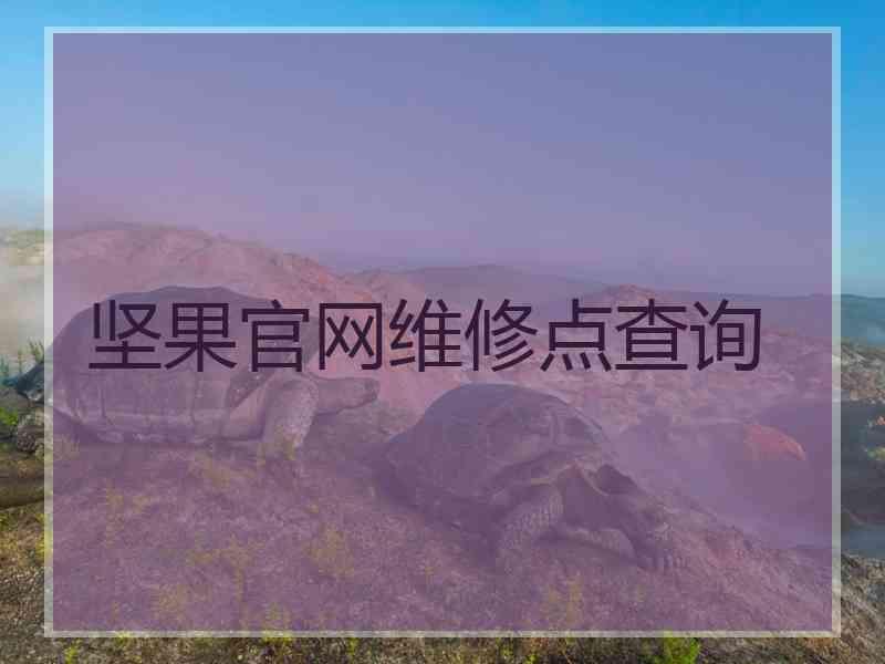 坚果官网维修点查询
