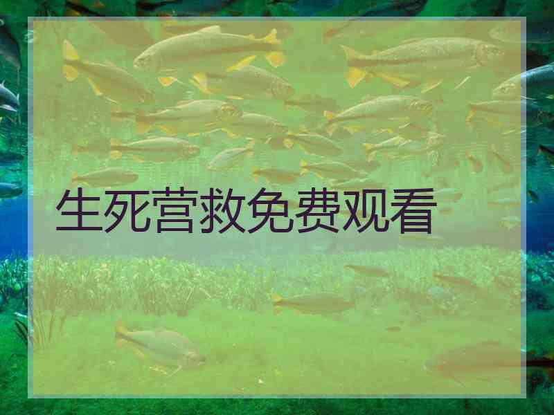生死营救免费观看