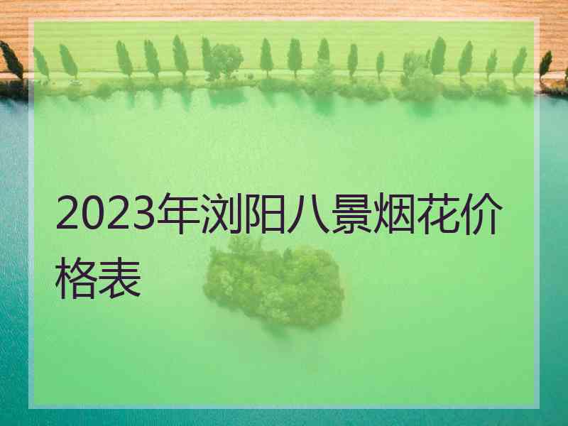2023年浏阳八景烟花价格表