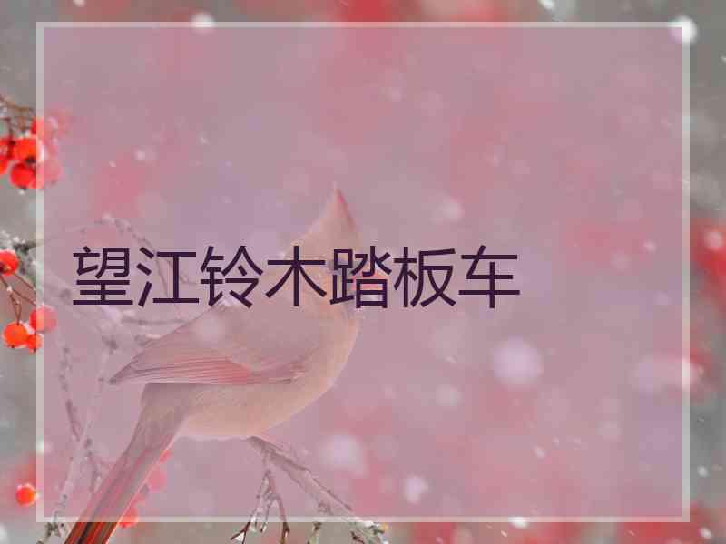 望江铃木踏板车
