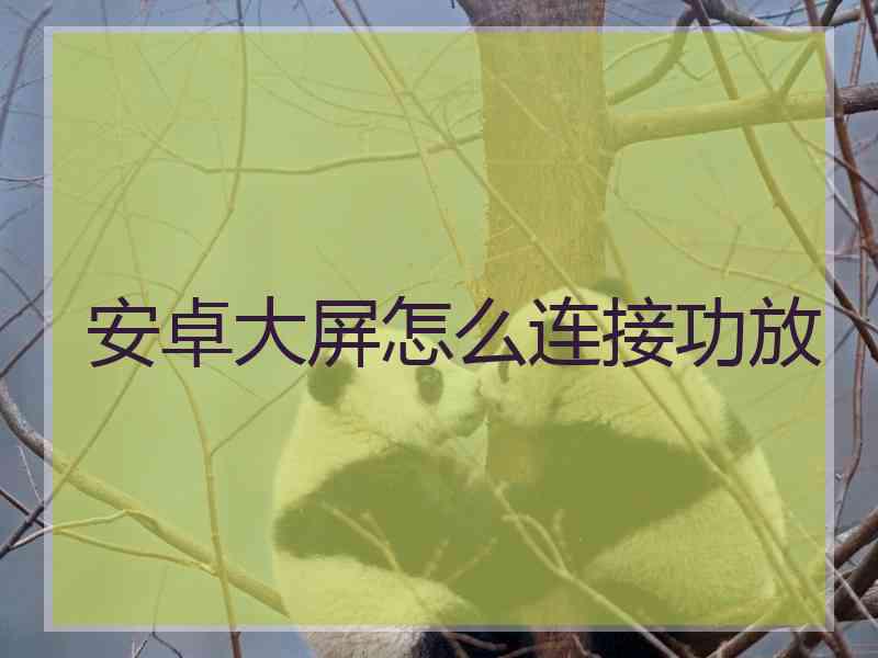 安卓大屏怎么连接功放