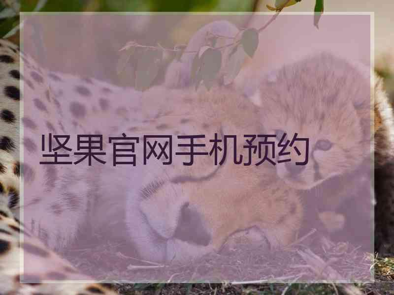 坚果官网手机预约