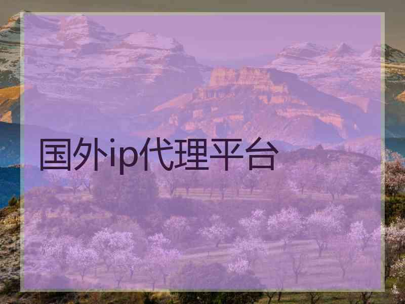 国外ip代理平台